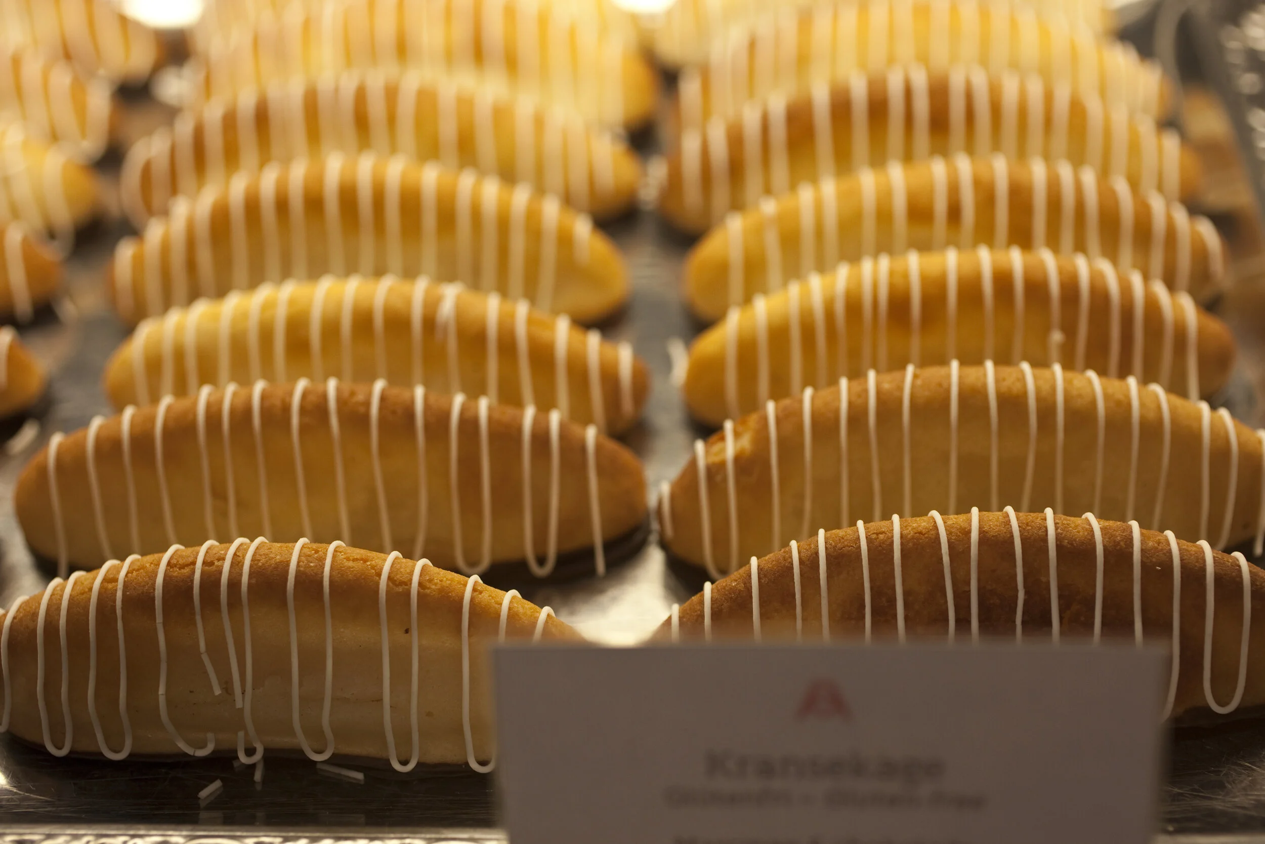 _MG_1076.jpg