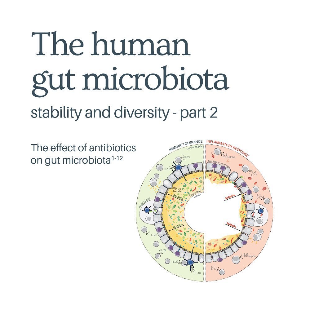 The human gut microbiota: stability and diversity - part 2
.
Continuing on from part 1 [see my previous post], we take a closer look at the effect of antibiotics on the gut microbial ecology. In particular, we explore the physiological changes that o