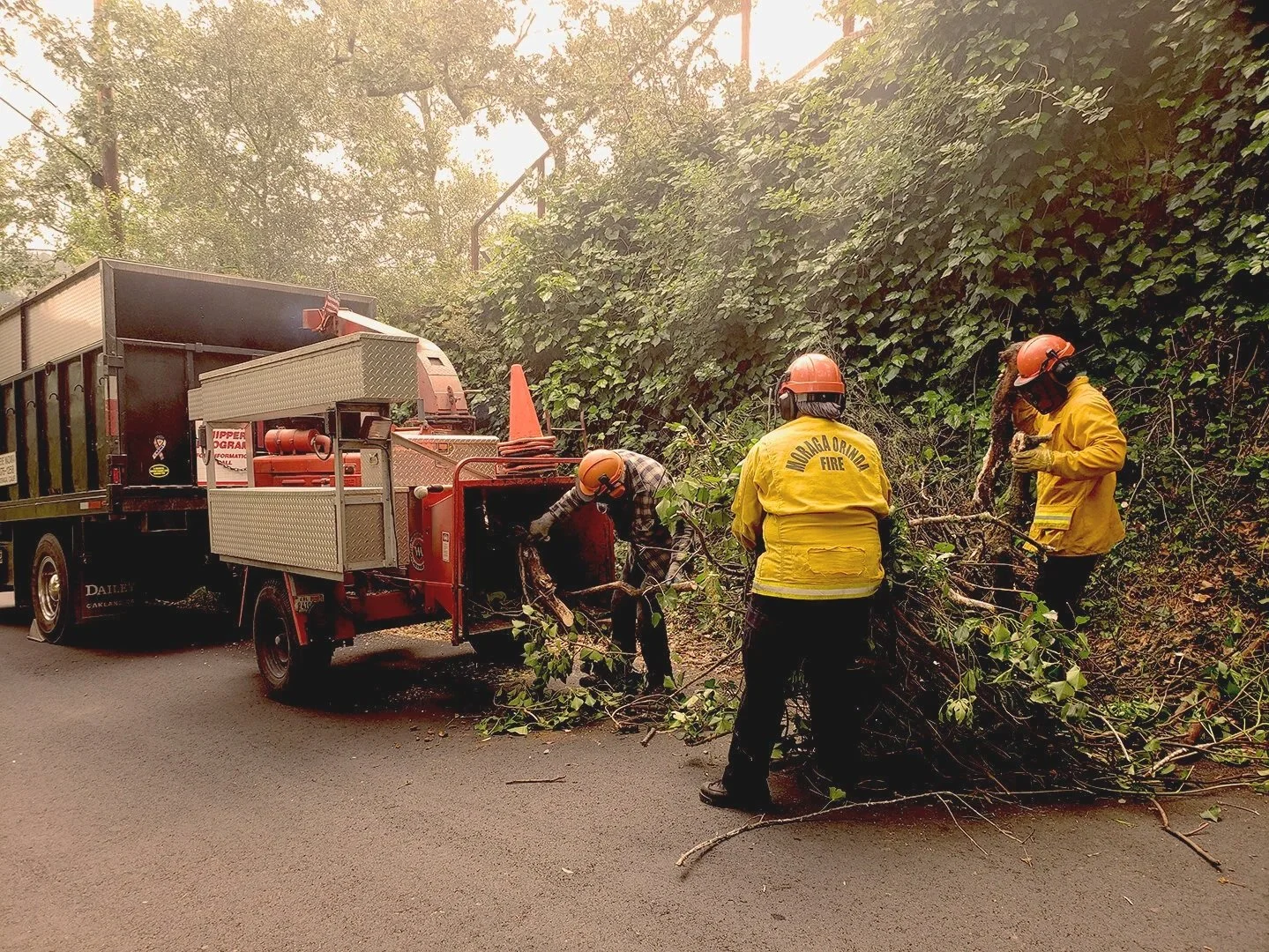 Request the Free Chipper