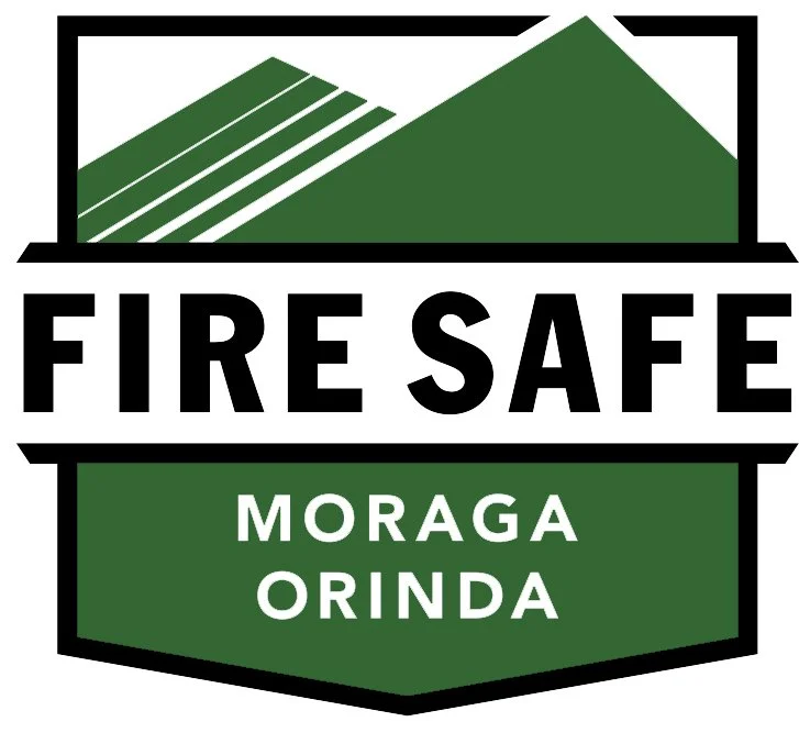 FSMO Awards First Grants