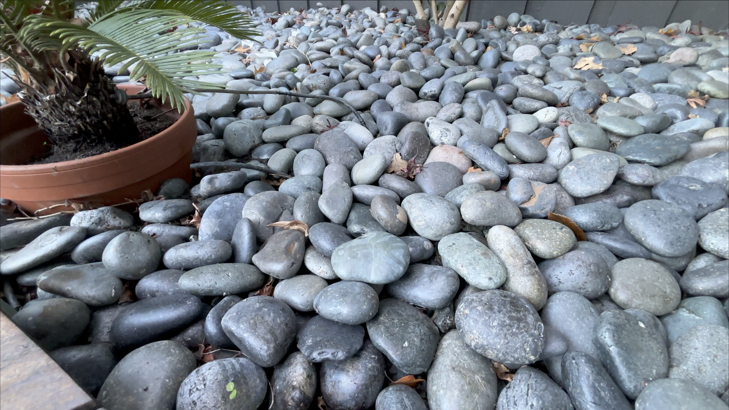 Screenshot 2026-01-13 at 4.22.34 PM.png