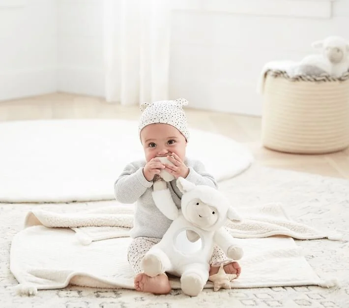 lamb-critter-developmental-plush-o2.jpeg
