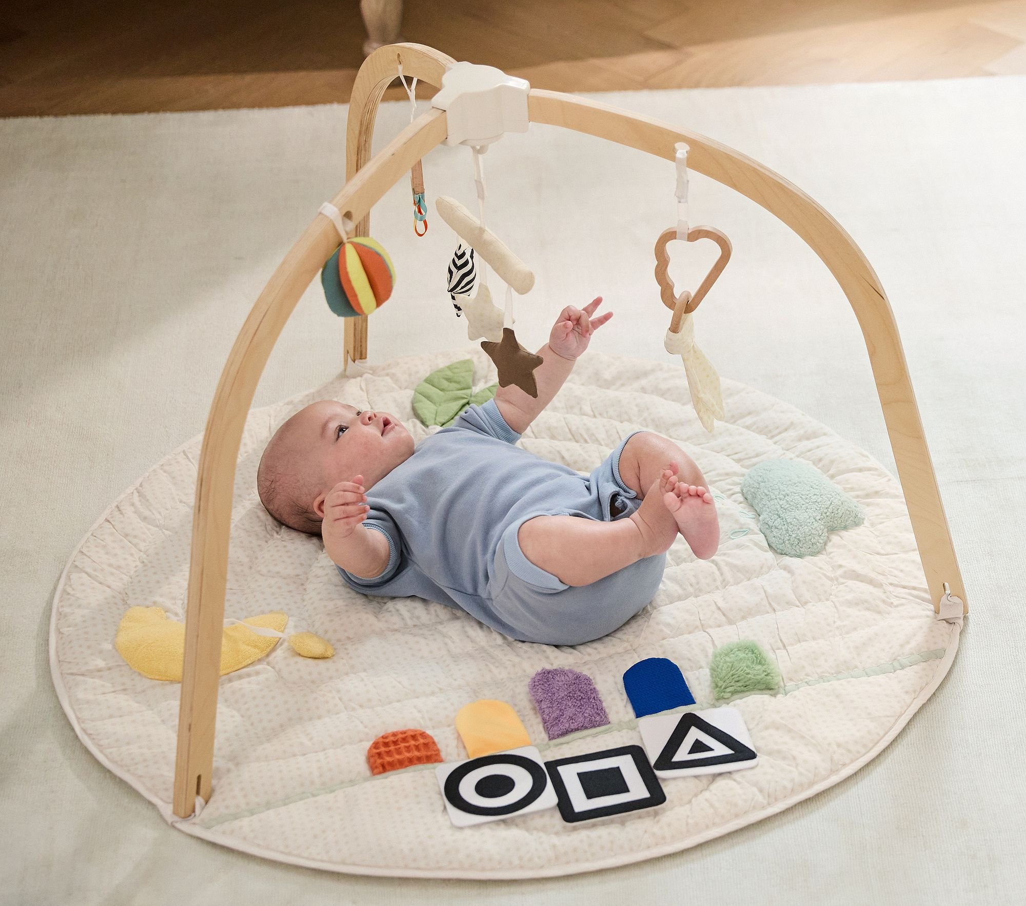 interactive-activity-gym-2-xl.jpg