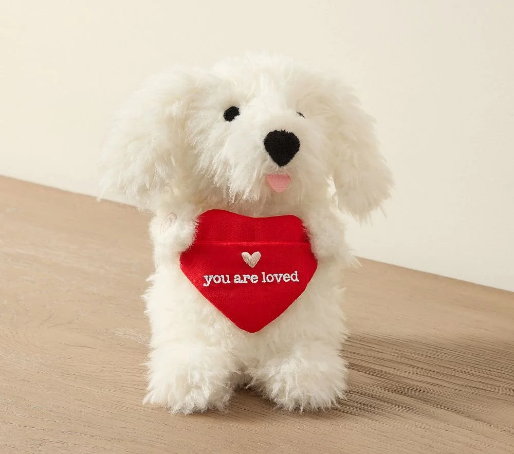 valentines-recordable-dog-plush-1-l.jpg