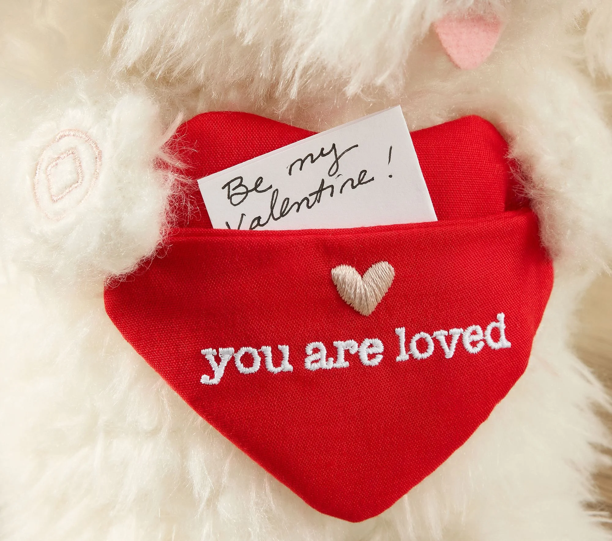 valentines-recordable-dog-plush-xl (1).jpg