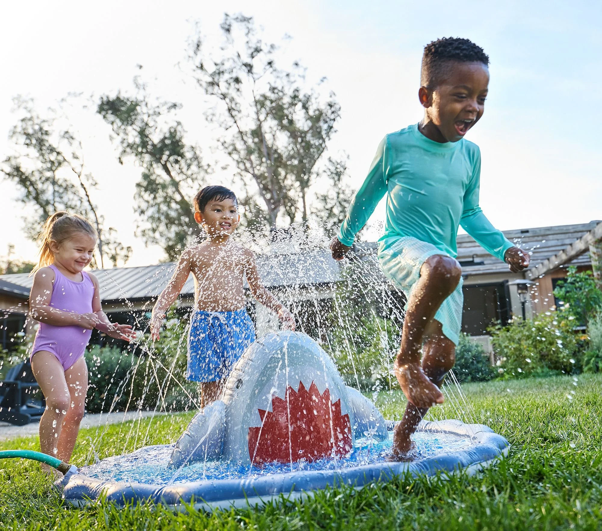 shark-head-splash-pad-xl.jpg