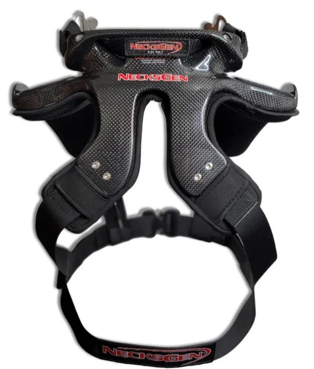 RevX Carbon Rear.jpg