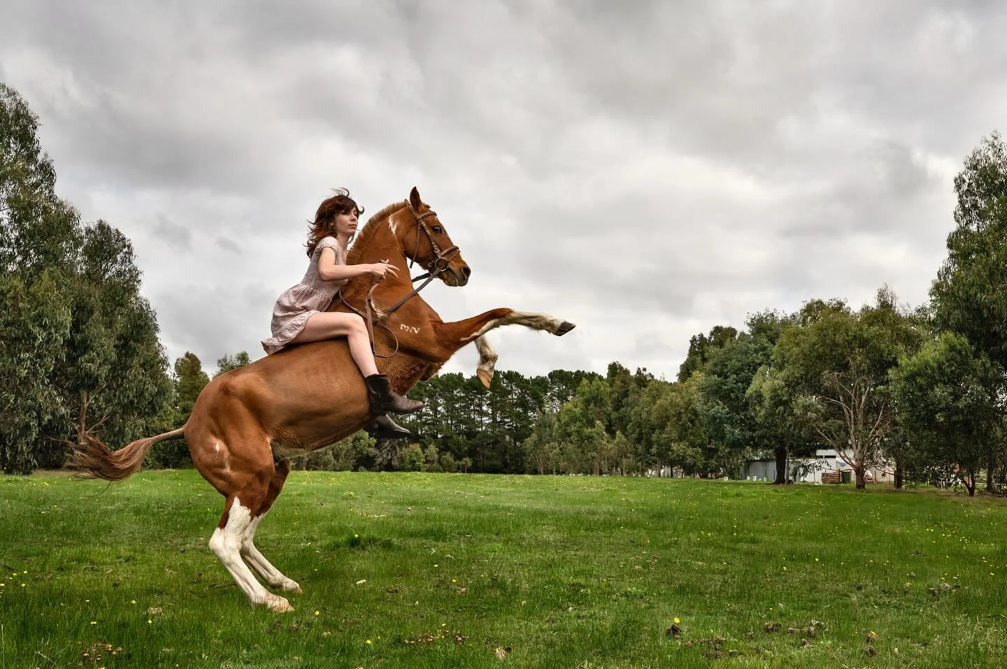 I'm thrilled and honoured to be part of the 2024 Australian Photography Awards (APA) committee, serving as a judge for the student category. I'm excited to review the student work alongside the talented documentary photographer, fellow mother, and te