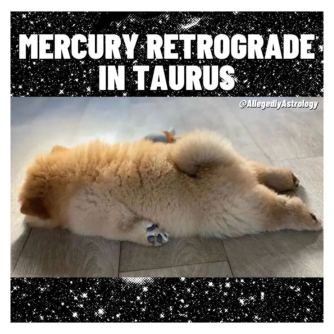 It's that time again! Chatterbox Merc is retrograde in chic as hell Taurus. You know the drill: now is the time to review and reconsider. If you can, try not to start anything new. If you simply must start something new: know that things are in flux 