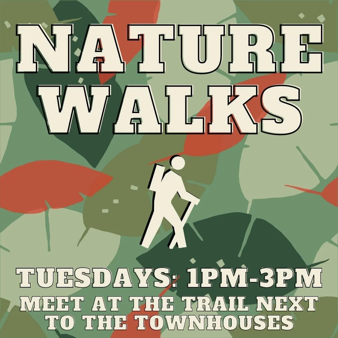 Nature Walk 
