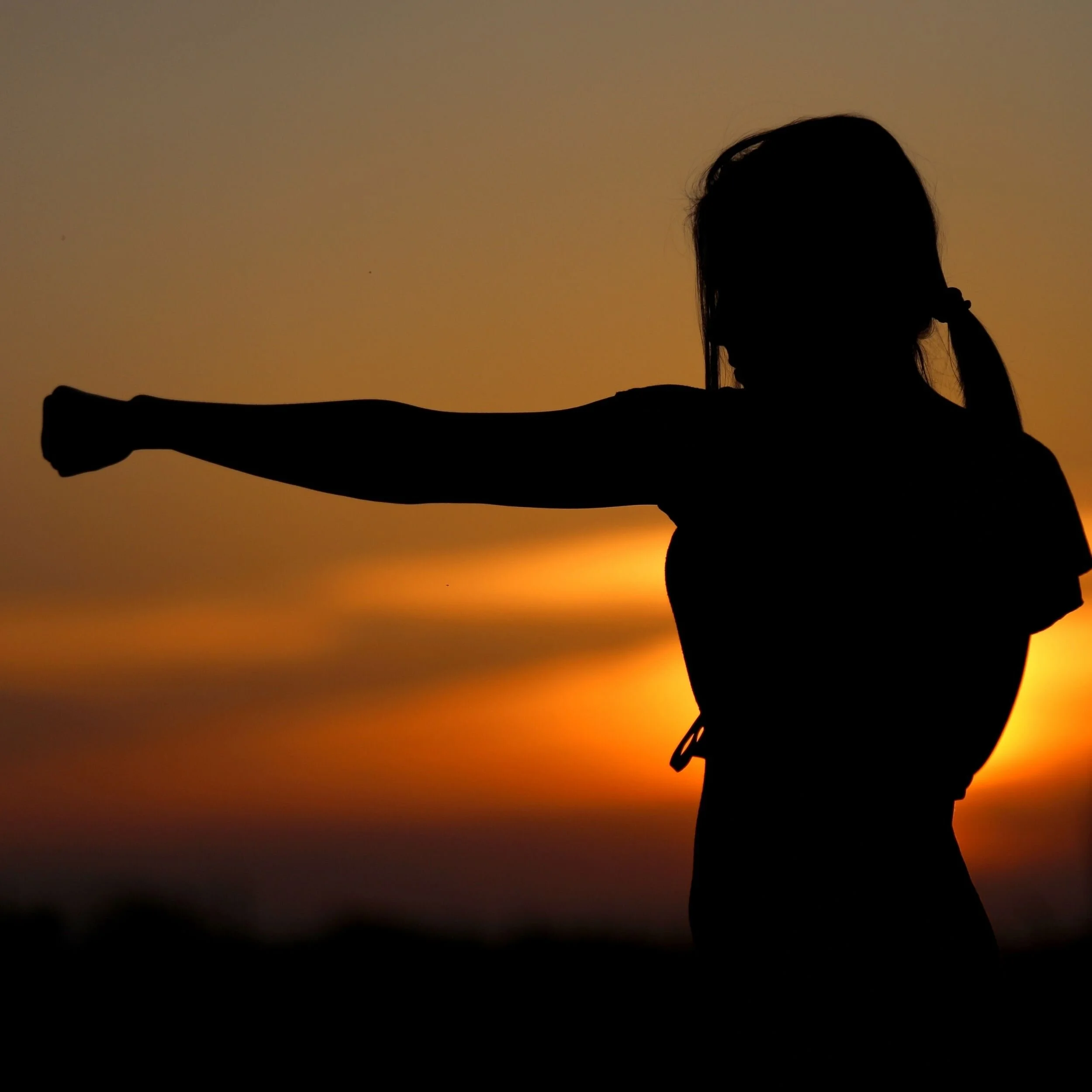 Self Defense Training 