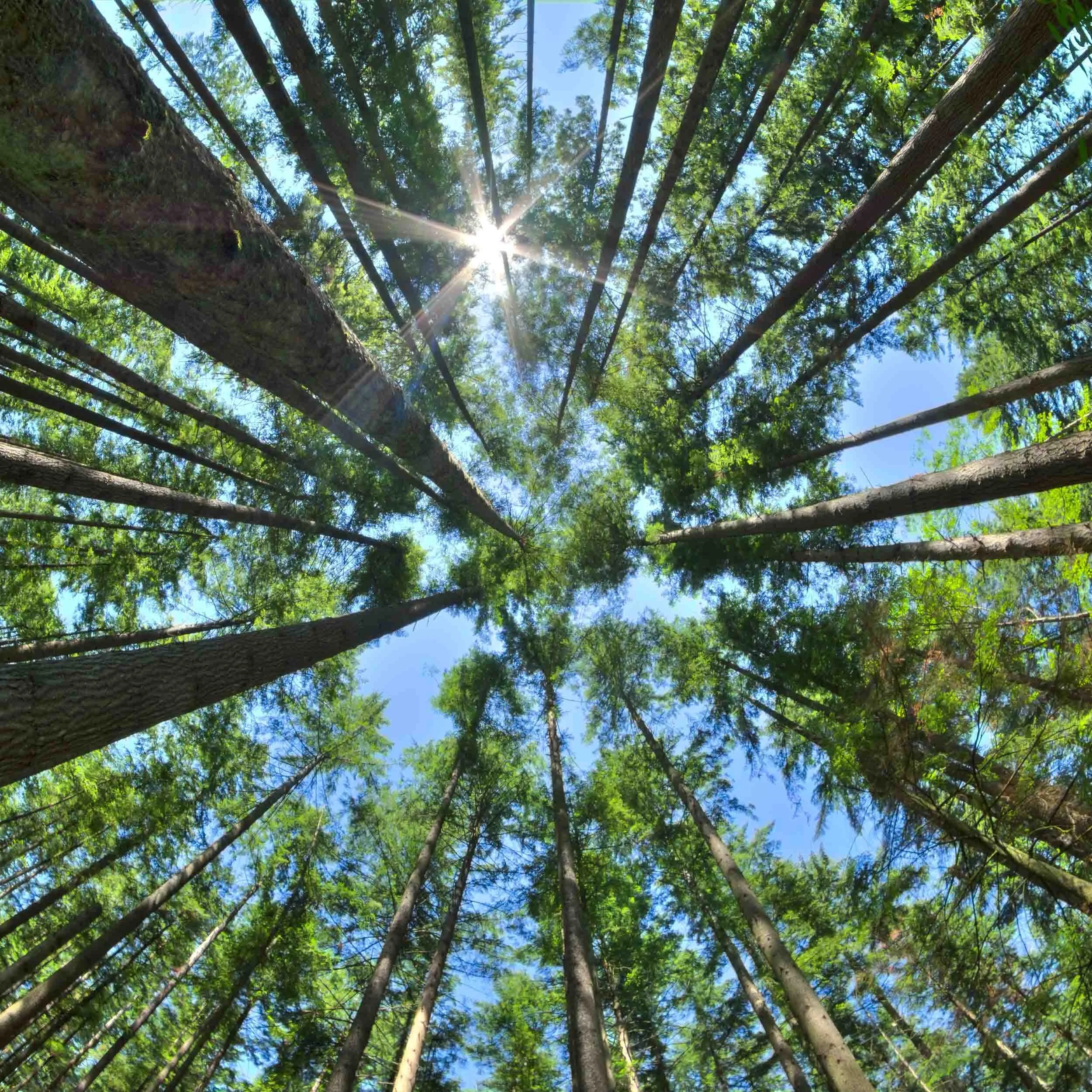 Spiritual Wellness Retreat