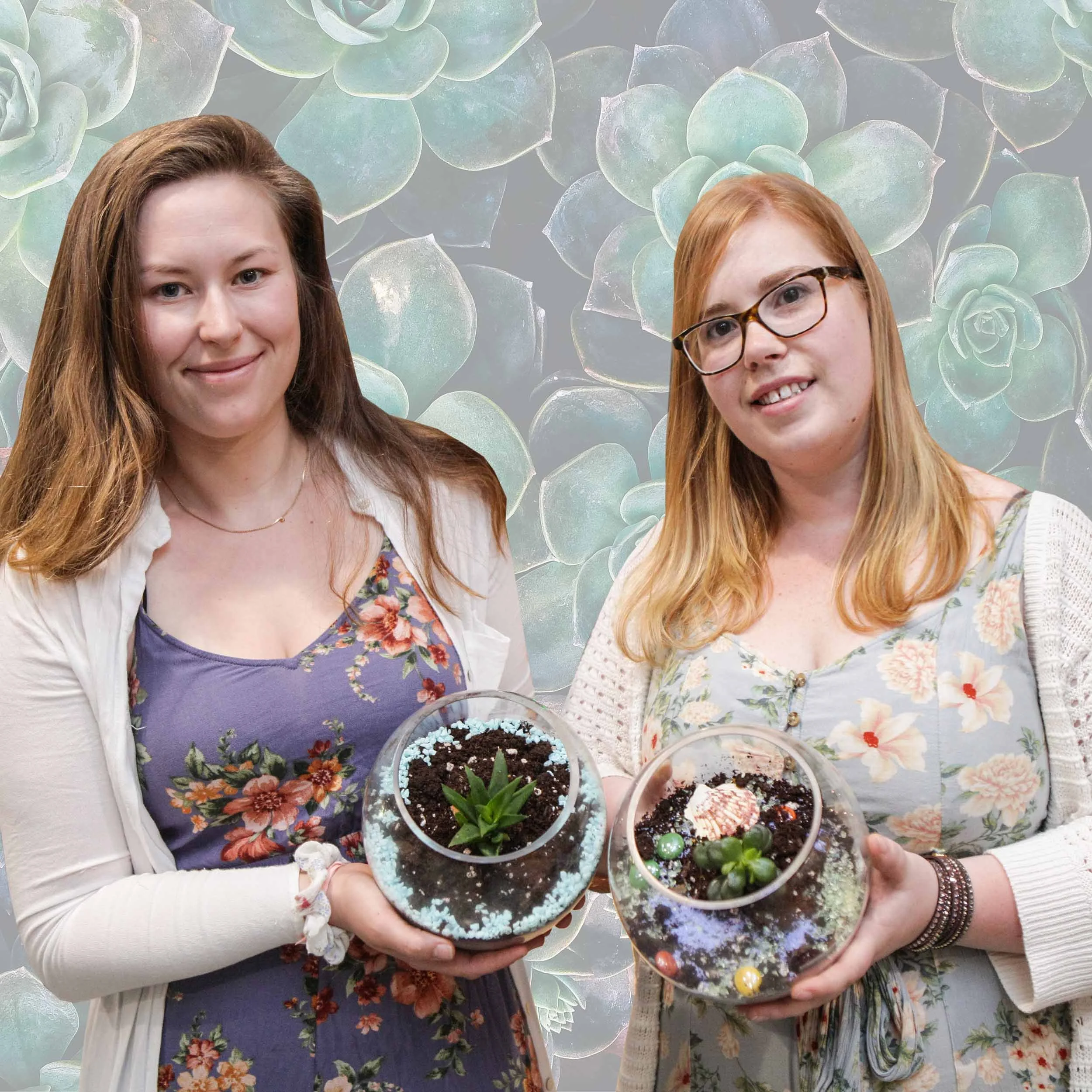 DIY Terrariums 