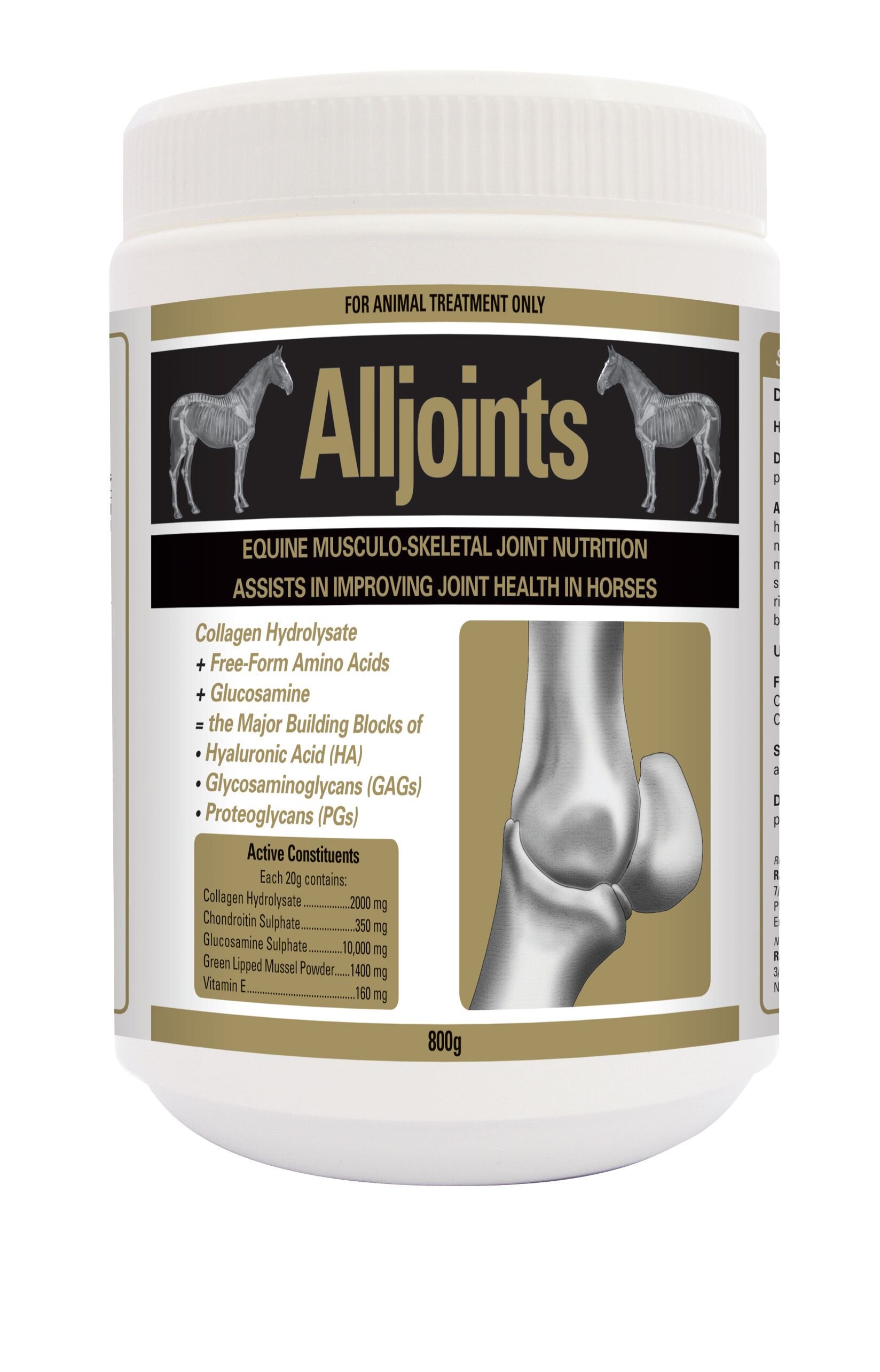 Alljoints.jpeg