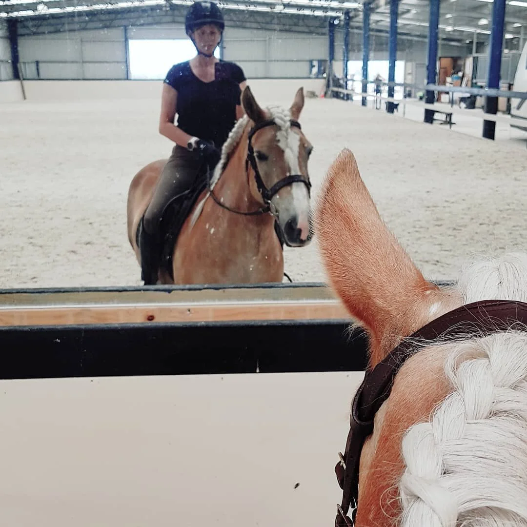 Poor Blondy had to put up with me riding her today 😂😍

#balancedanimals  #dressagelesson #haflinger #bestpony