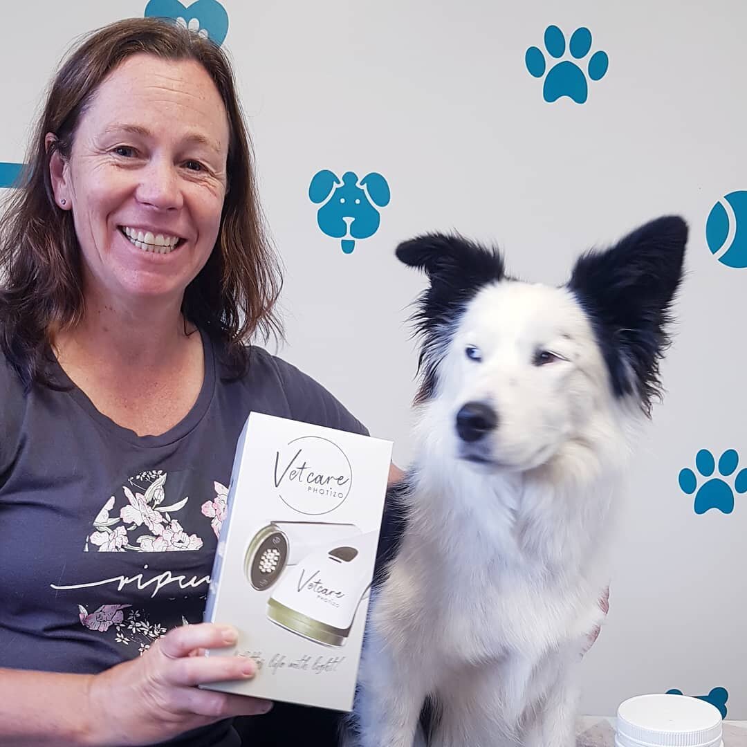 Lucky Panda got an early  Christmas present 😍 

Enjoy your Photizo Vetcare to help keep you in top condition Panda. And your Mum can borrow it too 😉

#photizovetcare #balancedanimals #caninephysiotherapies #bairnsdale #workingaway