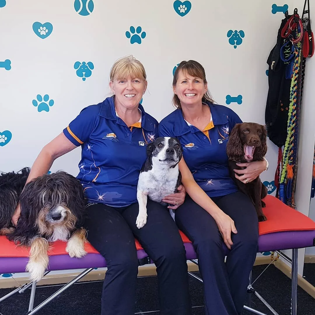 It's not everyday a special client builds you a little room so you can come and offer treatments away from home. Thanks Covid! 
But secretly I think They did it so I would continue to teach and mentor 😂😘 thanks to my special people in Bairnsdale, i