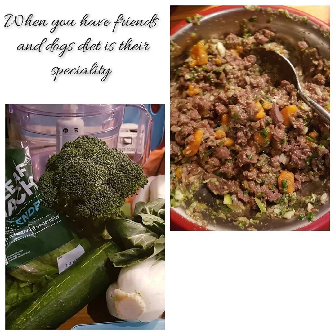 When the dogs eat better than you do.

Thank you for the dogs personalised menu Helen from #wellbeingfordogs 

#balancedanimals 
#caninemassagetherapy 
#animalphysicaltherapies
#balanceddiet