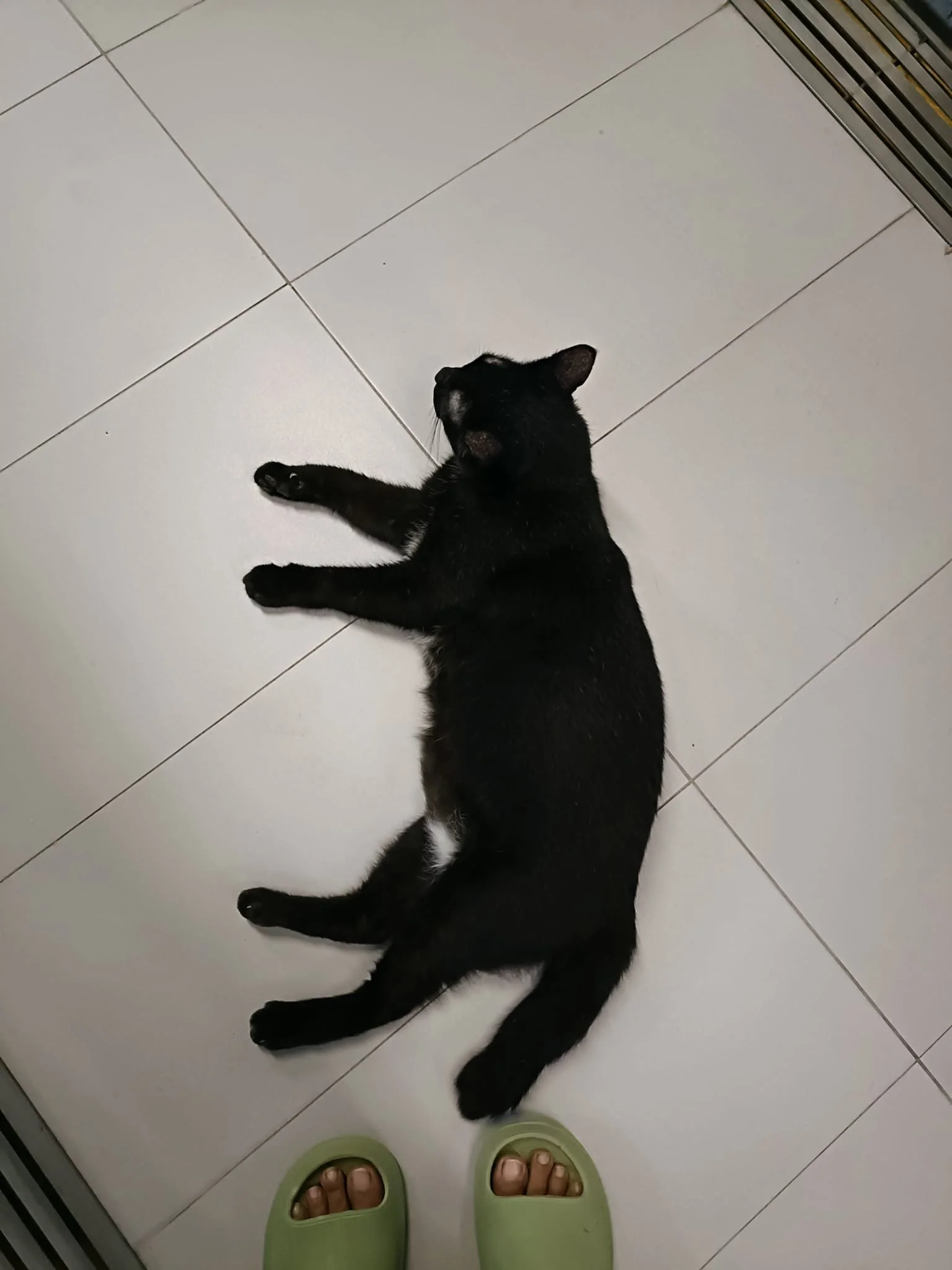 WhatsApp Image 2026-03-02 at 23.22.45.jpeg