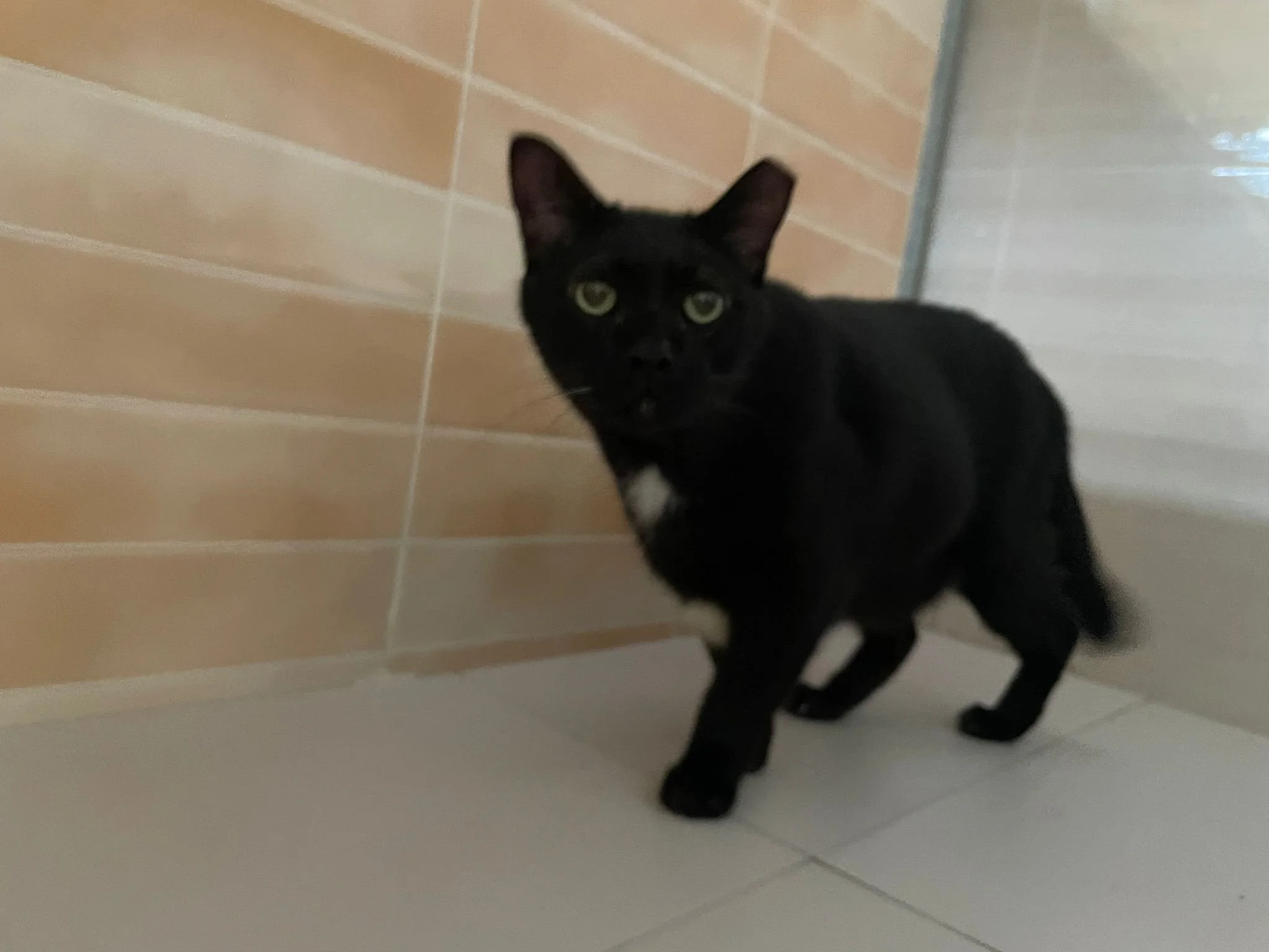 WhatsApp Image 2026-03-02 at 22.56.40.jpeg