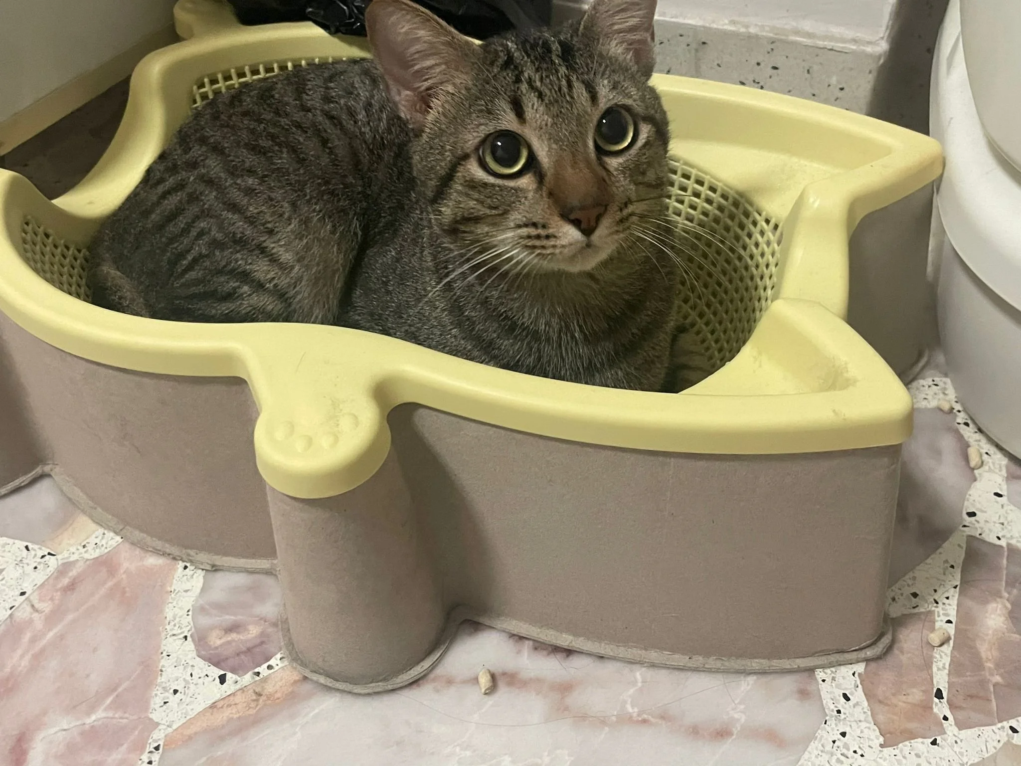 WhatsApp Image 2026-02-09 at 20.56.15.jpg