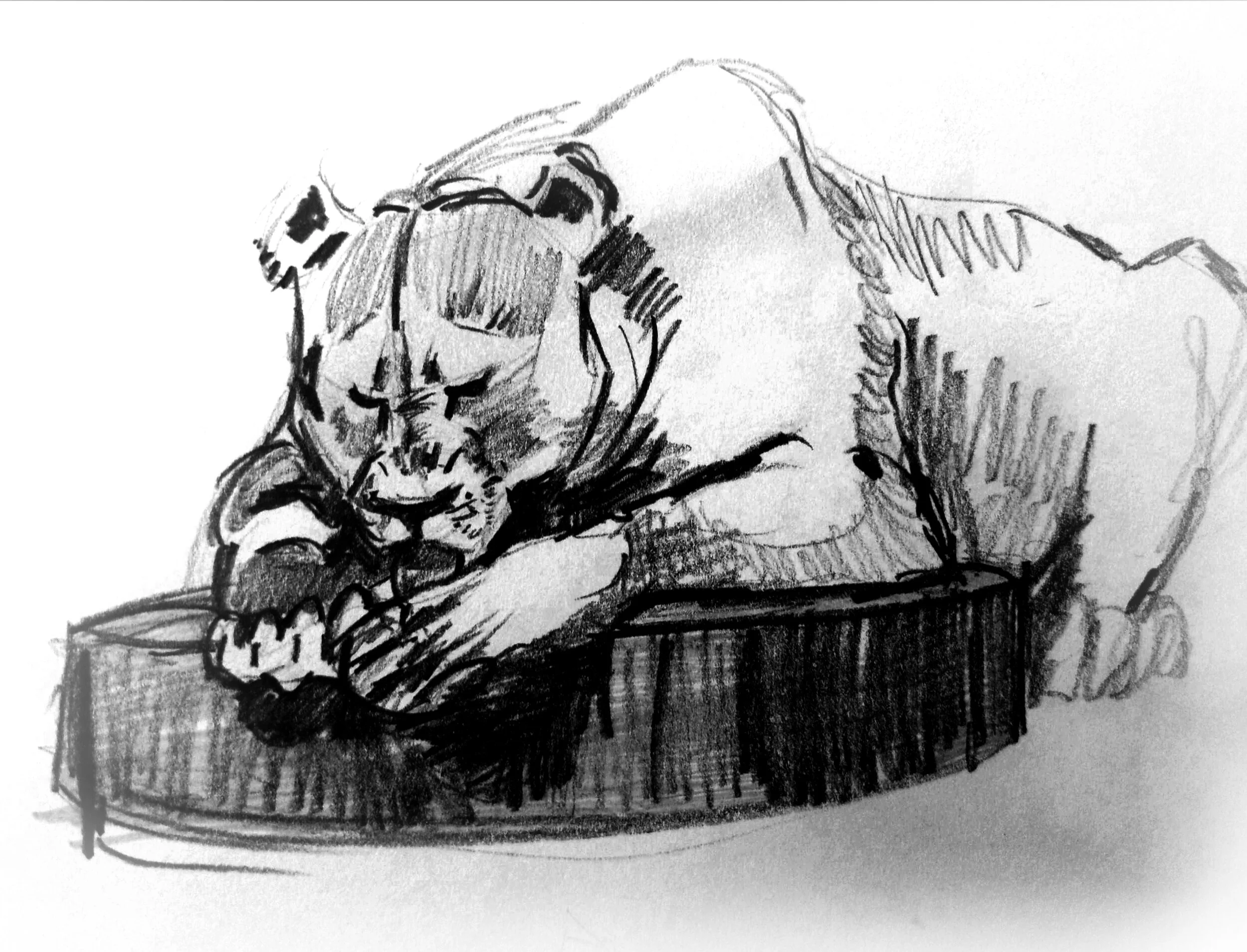 Sketch_01.jpg
