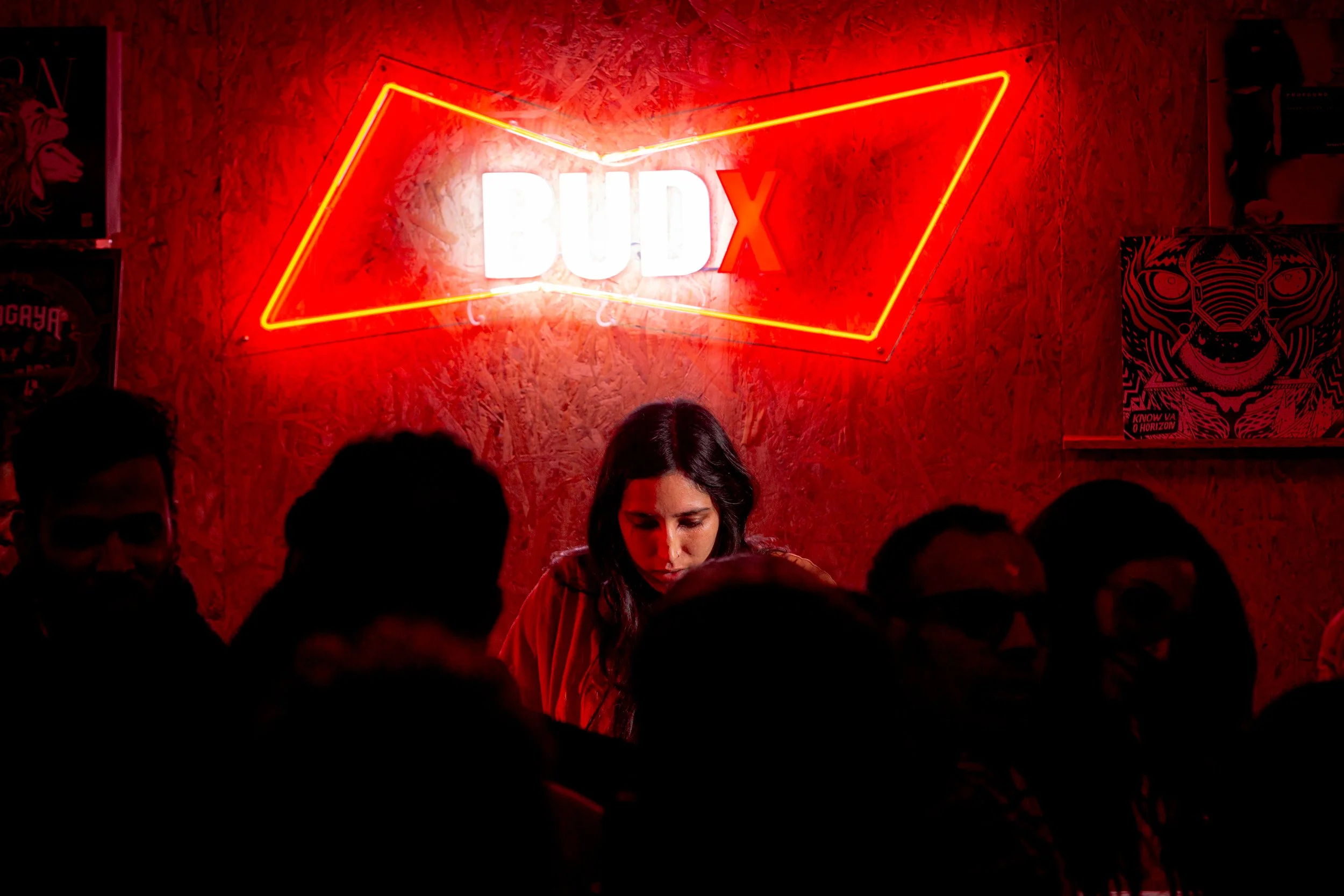 Magnetic Fields 2018