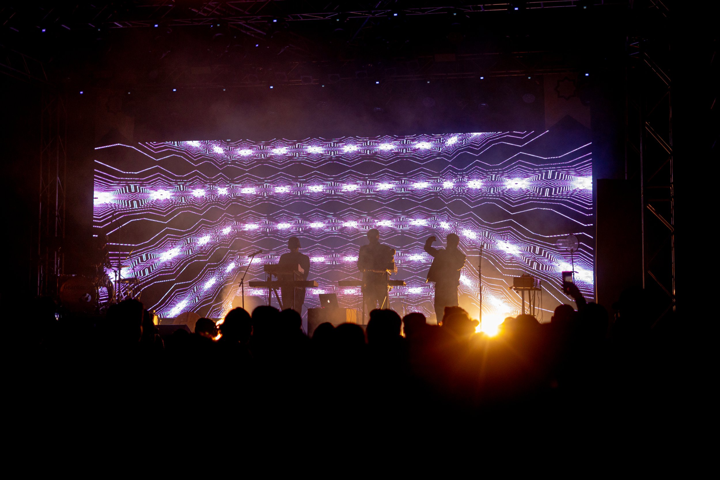 Mag Fields - BudX 2018 -08357.jpg