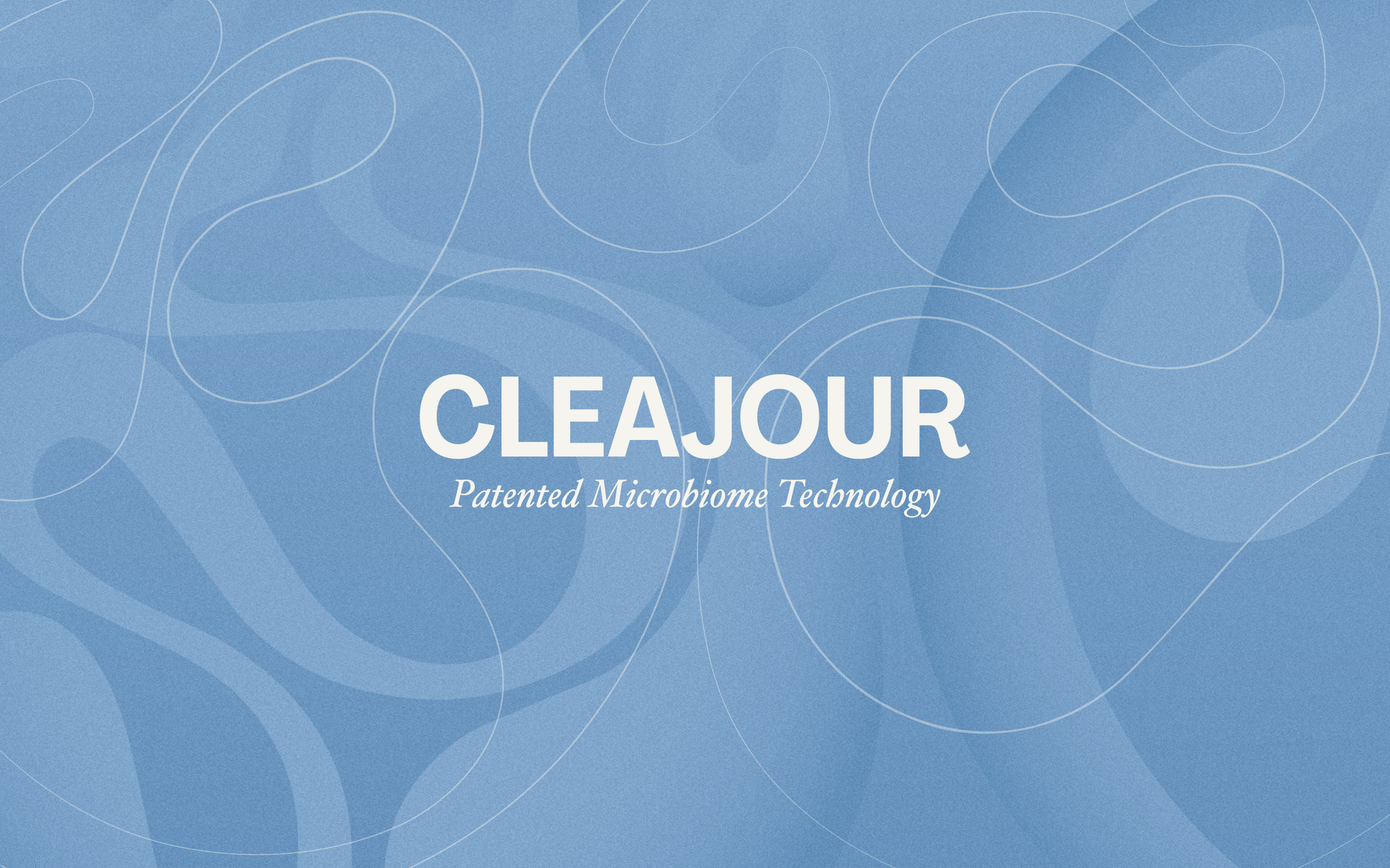 Farida Serageldin Kamel_Portfolio Supplement5.png