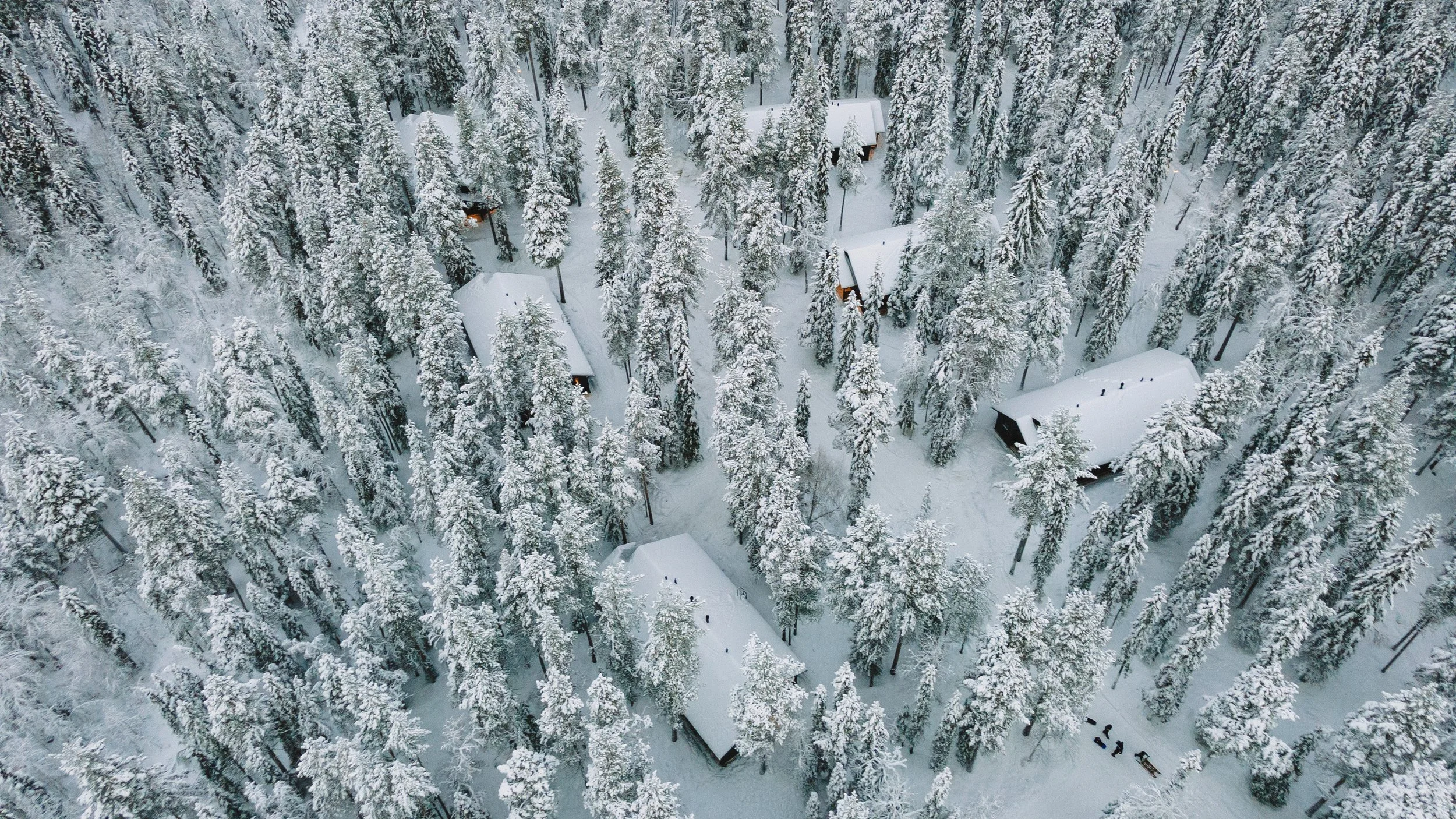 DJI_0099.jpg