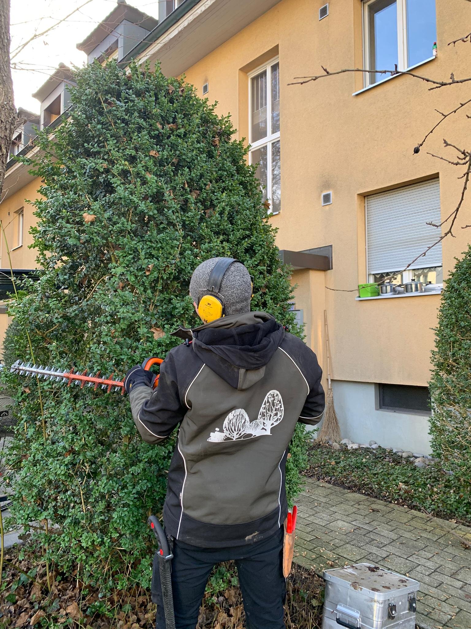f7e5b0a5-c4d7-4988-b0ad-838168ecbd0c.jpg
