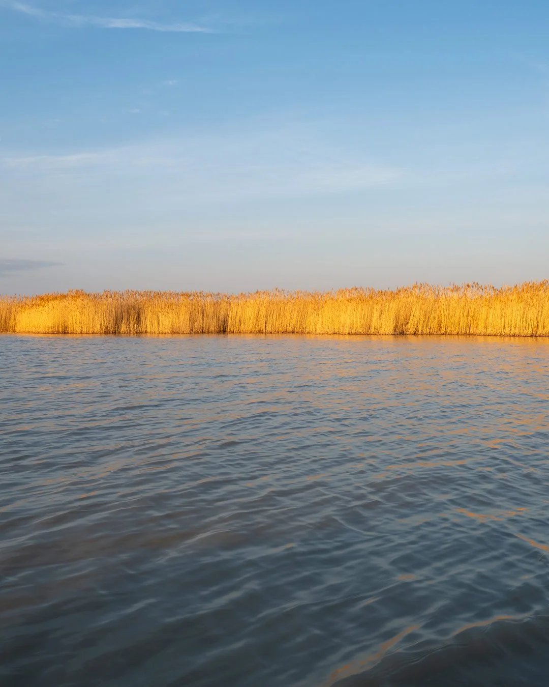 ©SonjaPriller-wenzel-Tethys__DSF3081.jpg
