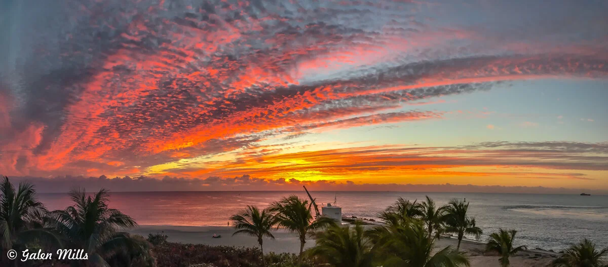 Tropical beach sunset with vibrant orange and pink clouds over the ocean, framed by palm trees.