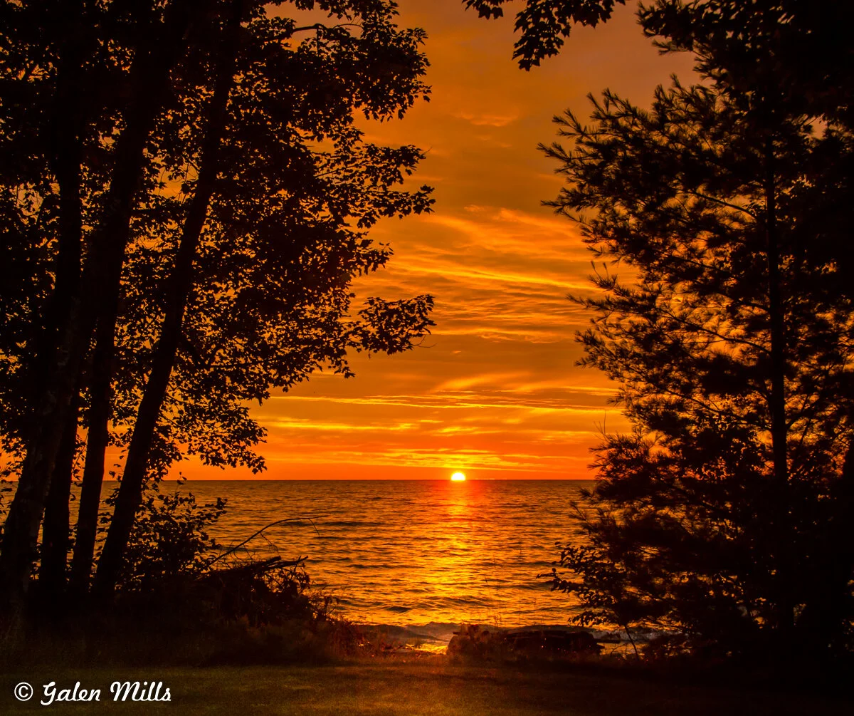 Silhouette of trees framing a vibrant orange sunset over a calm ocean.