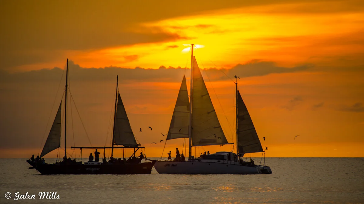 Two yachts sailing on the ocean at sunset with birds flying nearby.
