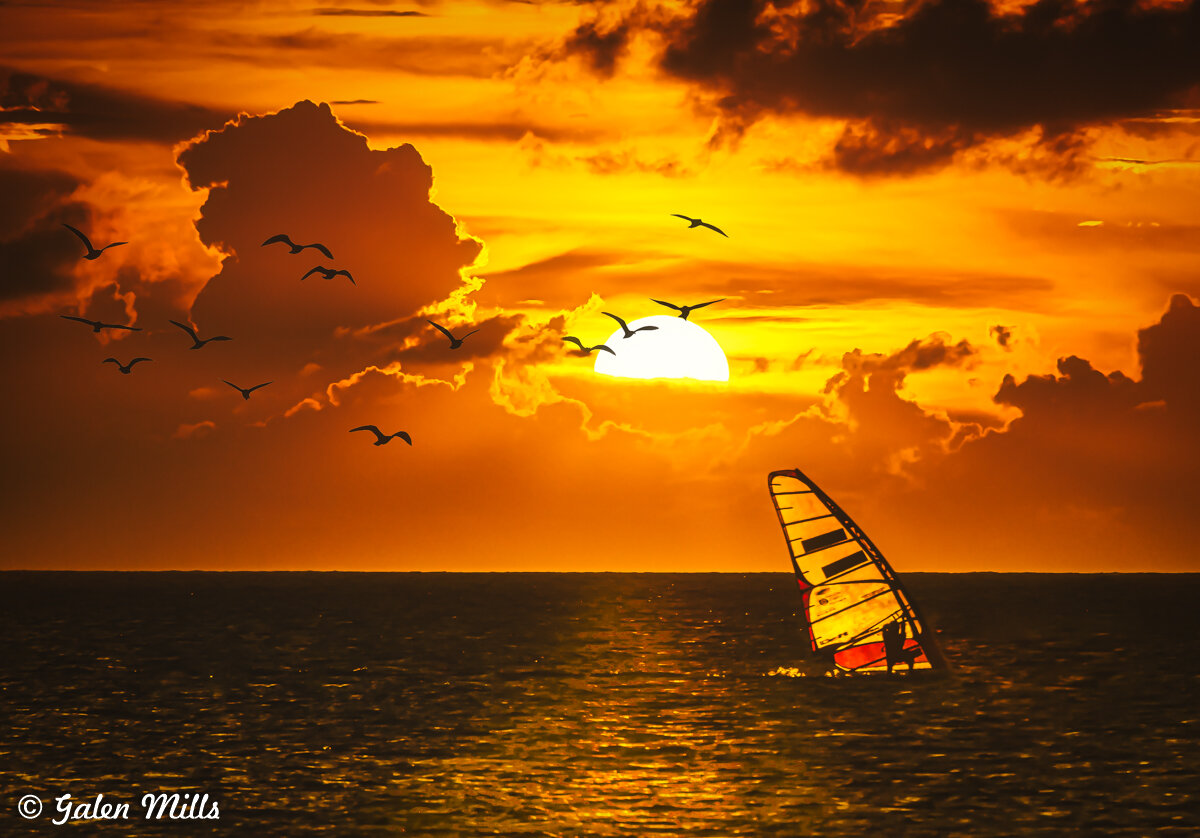 Silhouette of windsurfer on ocean at sunset with seagulls in sky.