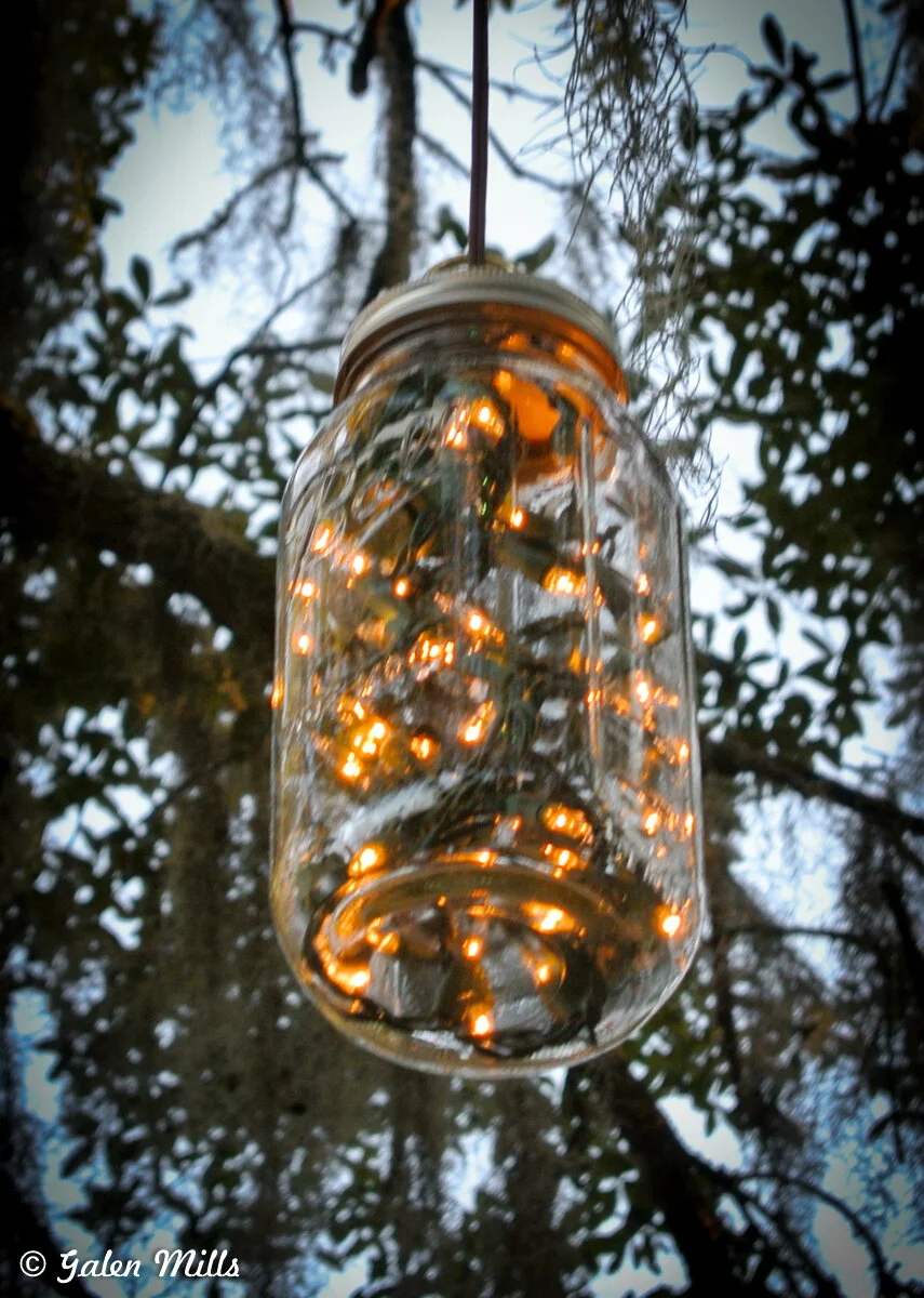 A hanging glass jar filled with warm white fairy lights, suspended in front of a tree with leaves and branches visible in the background.