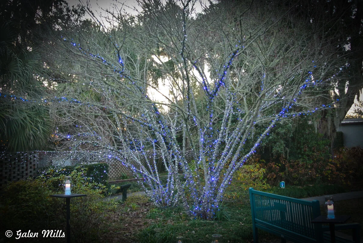 Outdoor scene with tree wrapped in blue string lights, surrounded by foliage, a green bench, and a small table with a lit candle.