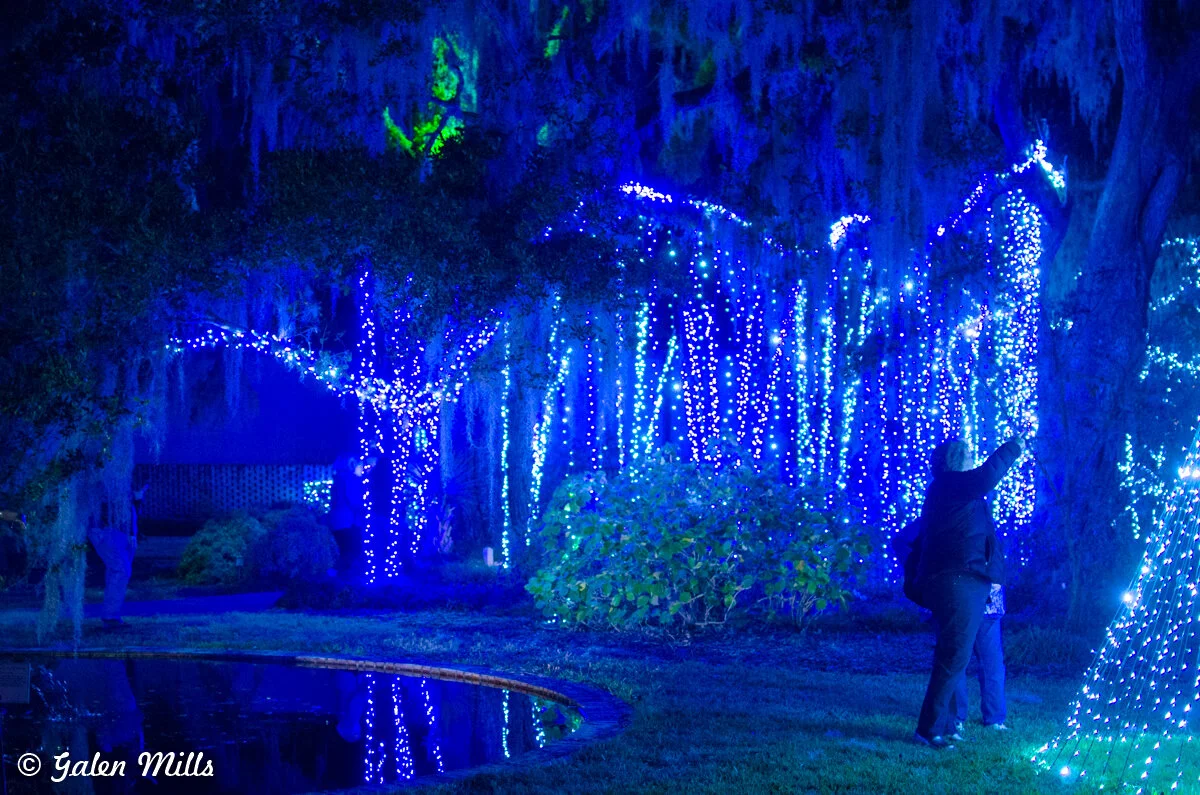 Two people admire trees adorned with blue string lights, creating a vibrant nighttime display in a wooded area near a small pond.
