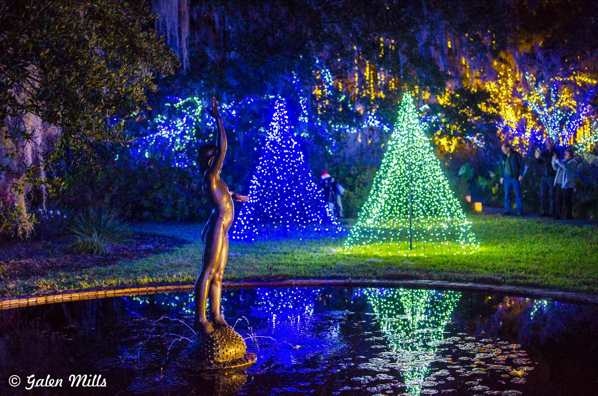 Bronze statue beside illuminated holiday lights shaped like trees, reflected in a pond.