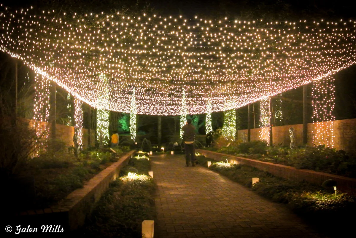 Pathway decorated with white string lights forming a canopy and wrapped around trees, with a person walking along the brick path at night.