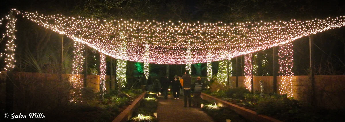 Pathway covered with string lights at night, with people walking beneath.