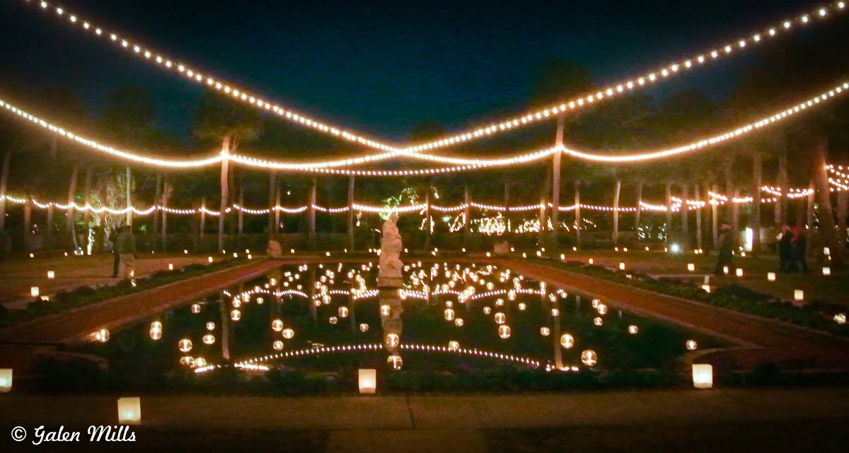 Outdoor garden at night with string lights, a reflective pond, and a statue