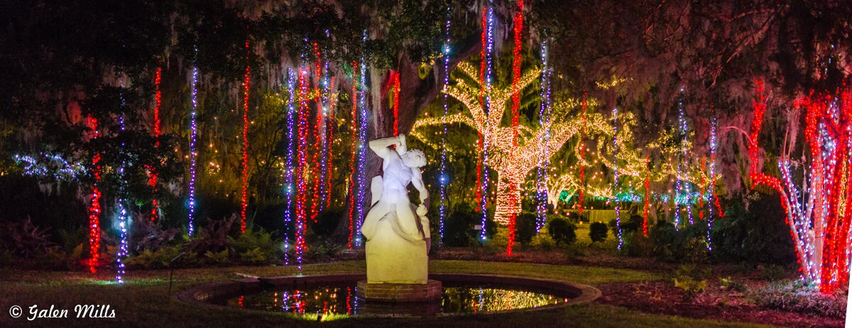 Statue in garden with trees decorated in colorful lights at night