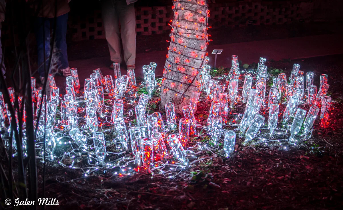 Upside-down glass bottles with red and white string lights around a tree trunk at night.
