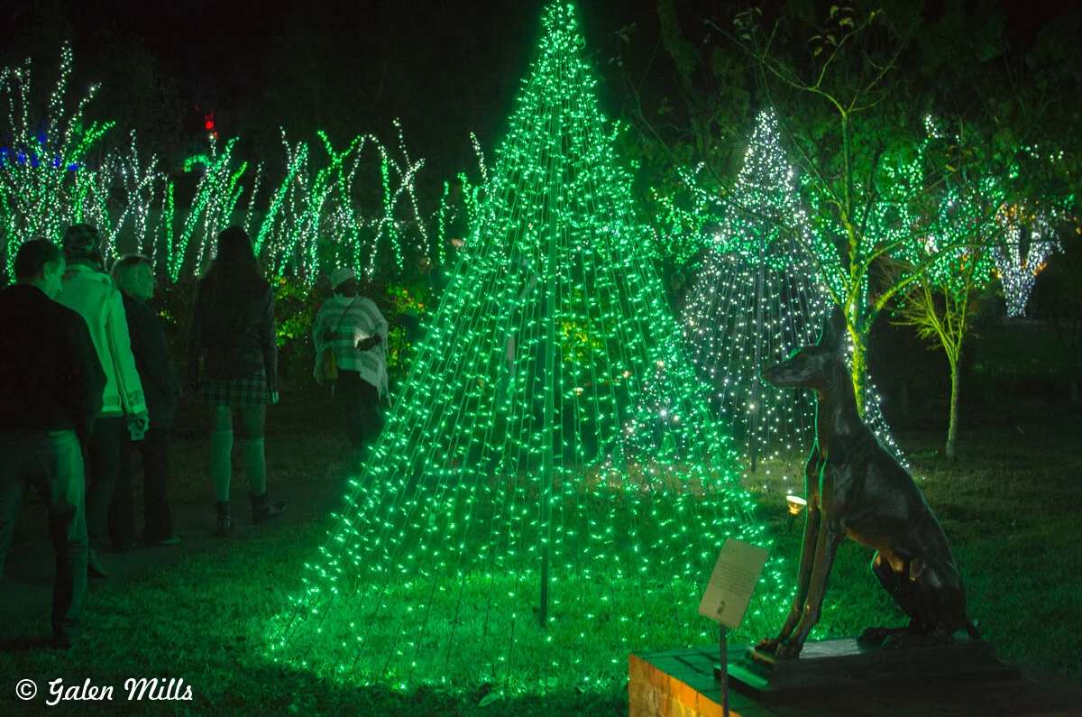 Illuminated garden with green and white LED lights shaped like trees, people walking, and a dark statue of a dog nearby.