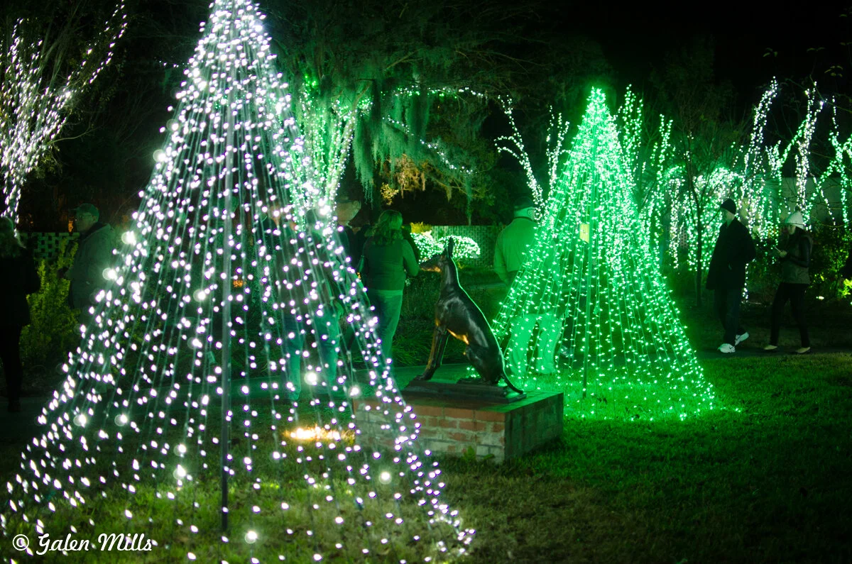 Outdoor display with illuminated trees and people walking at night.