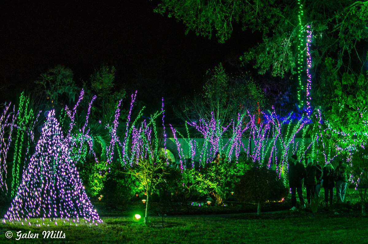 Colorful holiday lights display in a garden at night.