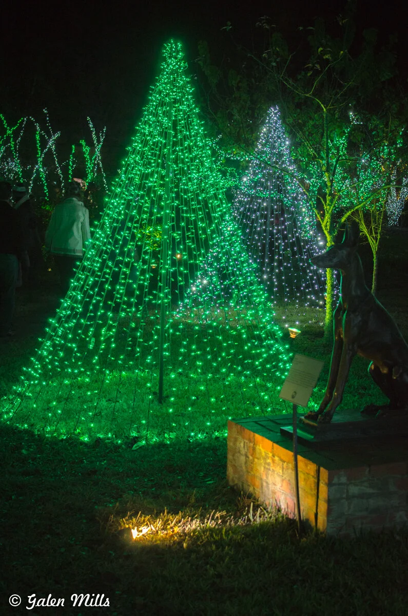 Outdoor display of Christmas trees made from green and white LED lights, with a statue of a dog in the foreground.
