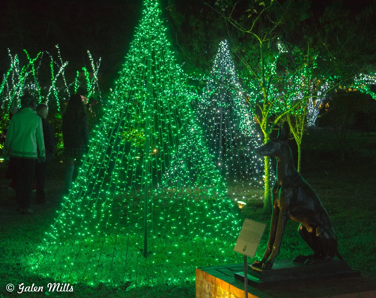 Outdoor park with green and white Christmas lights forming tree shapes, a dog statue on a pedestal, and people observing the lights.